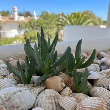 Casadeleon - Costadelsol Vacations & Remote Work Sitio de Calahonda